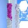 3D6 - Shenzhen Xintianjian Industrial Co., Ltd.